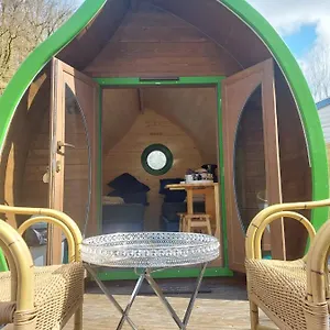 Leaf Camping